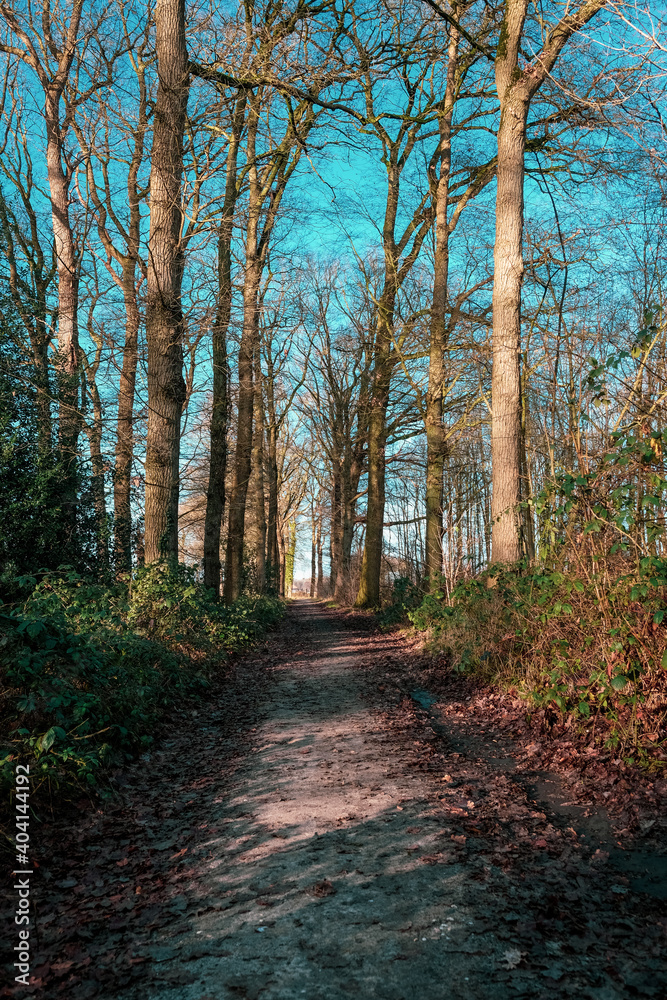 Hike in the countryside of the Achterhoek Netherlands