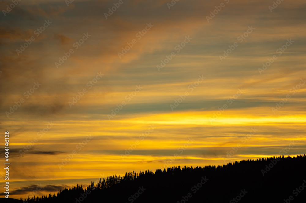 Forest silhouette on the background of sunset in the carpathians