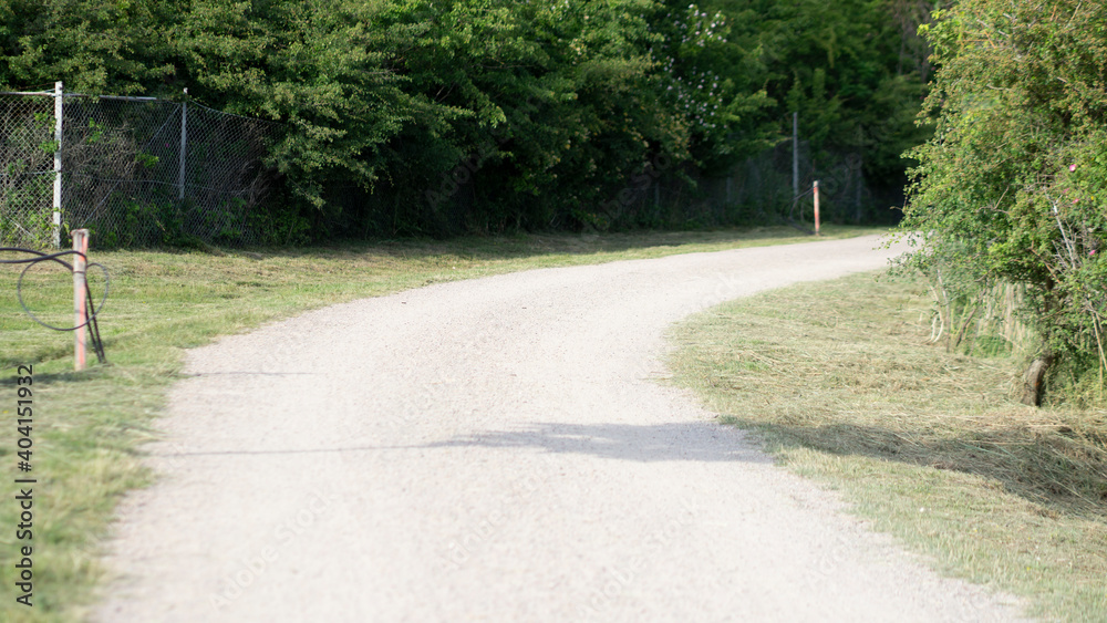 Obraz premium Empty bike path with no people or vehicles. Summer landscape.
