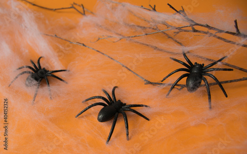 Hallowen decoration for party. Spider und web. © Iryna