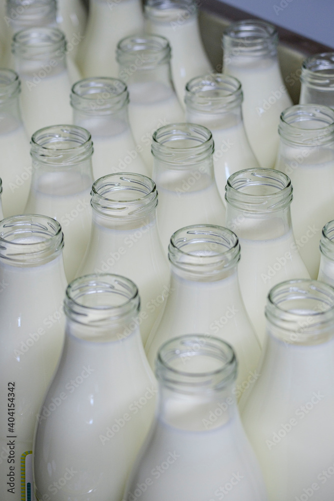 fresh milk, Sa Teulera farm, Petra, Mallorca, Balearic Islands, Spain fresh milk, Sa Teulera farm, Petra, Mallorca, Balearic Islands, Spain