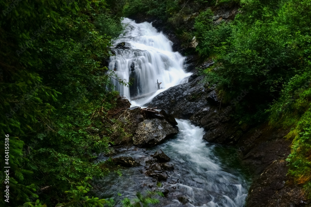 Fototapeta premium little waterfall in a mountain creek in a forest
