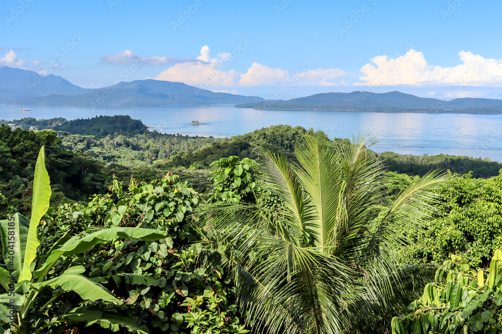 Beautiful lookout over the island Palawan in the Philippines. Most parts of the island are rainforest, coconut palm trees and farms, tropical beaches and the famous towns El Nido and Puerto Princesa. Beautiful lookout over the island Palawan in the Philippines. Most parts of the island are rainforest, coconut palm trees and farms, tropical beaches and the famous towns El Nido and Puerto Princesa.