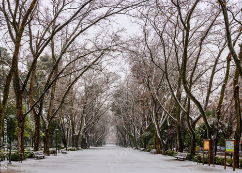 Parque Abelardo Sanchez nevado en Albacete