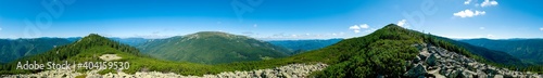 beautiful panorama with alpine pine and mountains under blue sky