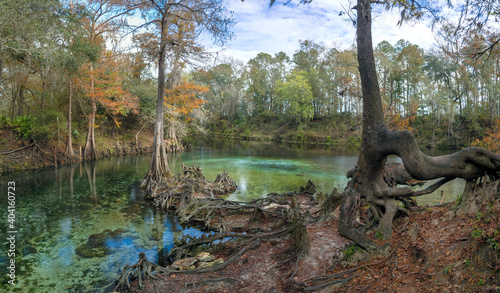 The Confluence of the Spring Run and the Withlacoochee River at Madison Blue Springs State Park, Madison County, Florida photo