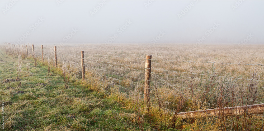 a run of wooden fence posts with barbed wire angle of in to the distance on a foggy morning a run of wooden fence posts with barbed wire angle of in to the distance on a foggy morning