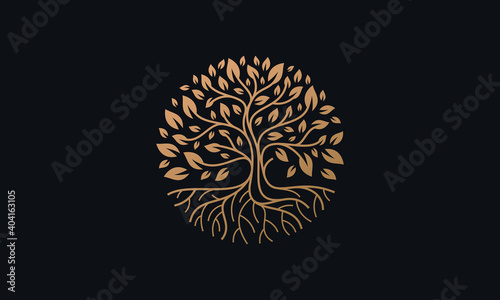 Natural Vector Tree Logo Illustration Nature Tree Golden Roots and Growth Design Template photo