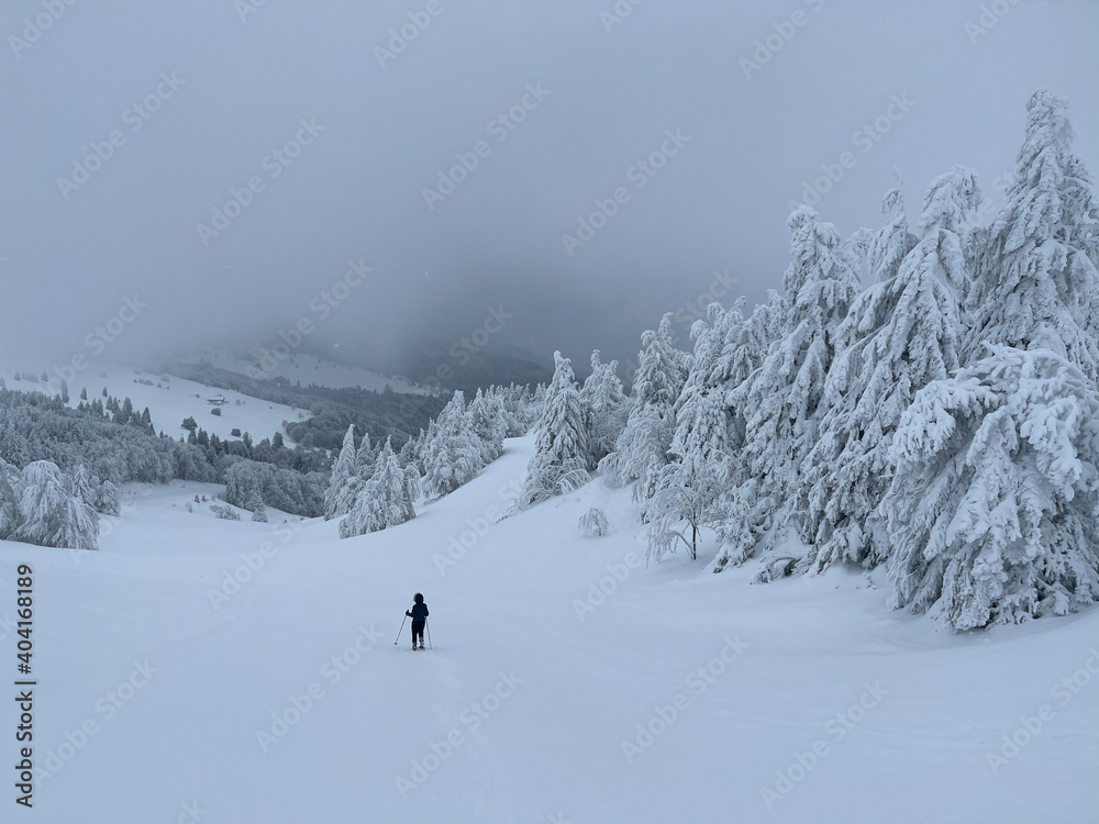 Person walking in the snowy mountain among the fir trees