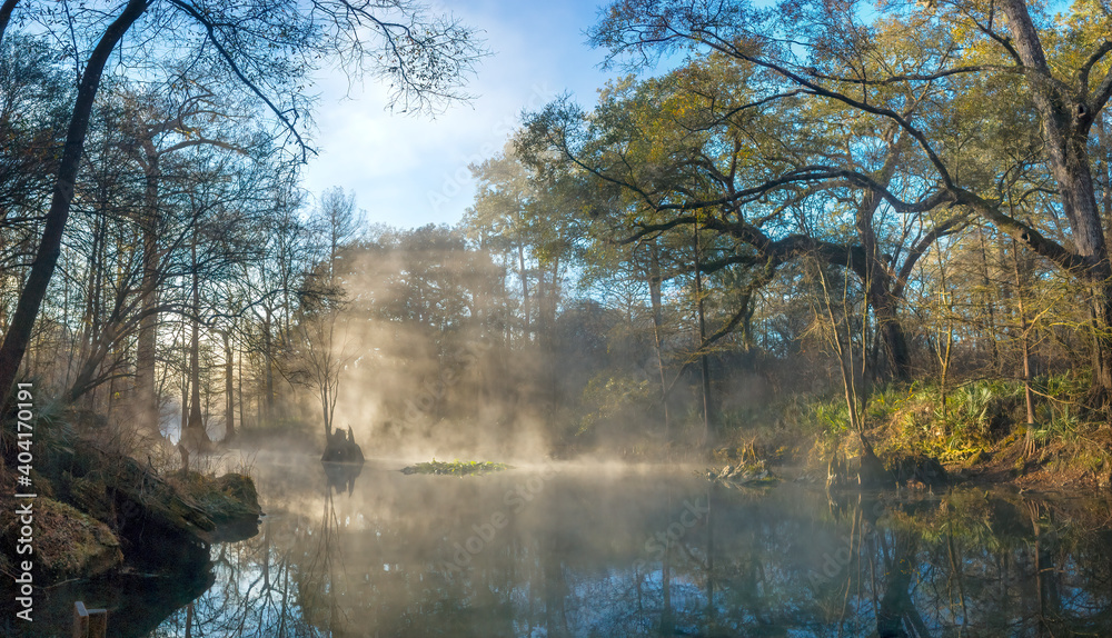 Early Morning Fog at Wes Skiles Peacock Springs State Park, Florida Early Morning Fog at Wes Skiles Peacock Springs State Park, Florida