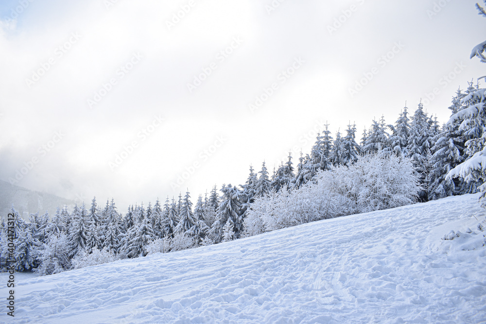 winter landscape with snow, snow covered trees, winter landscape