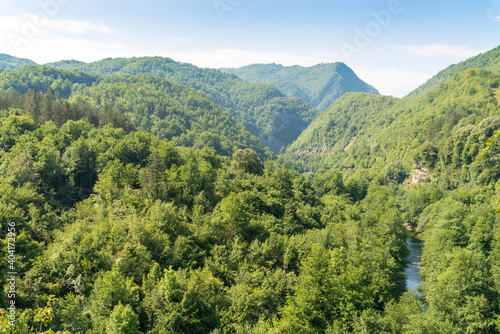 Tara river bank, canyon and mountains covered with green forest