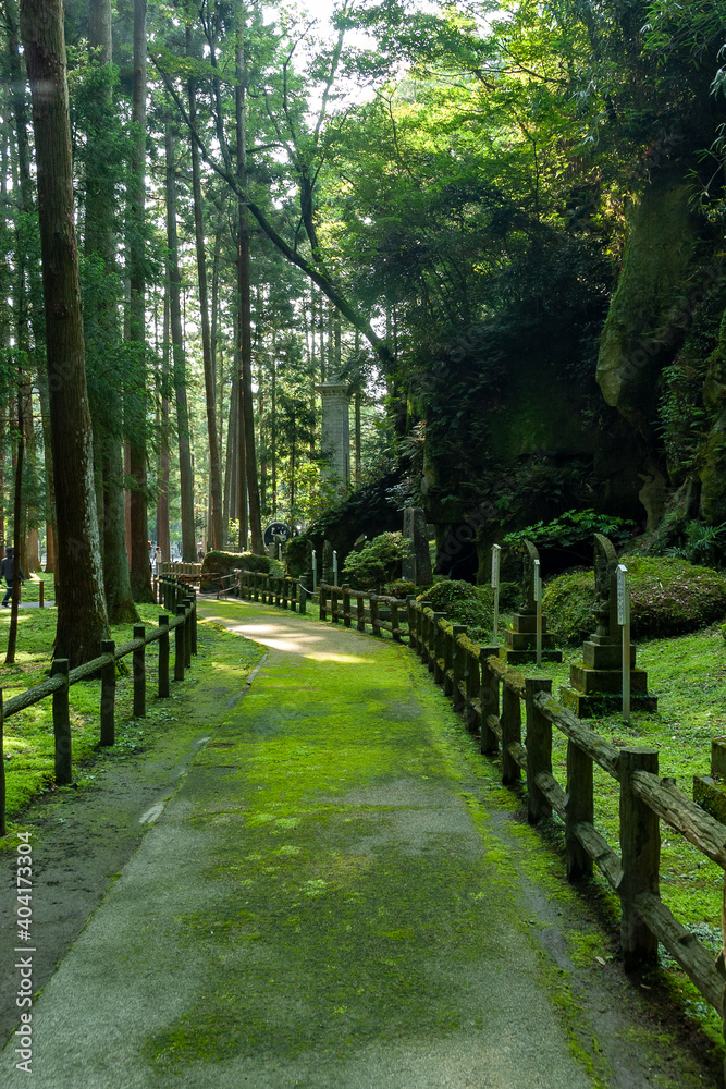 Avenue of ceders at Zuiganji in Miyagi, Japan