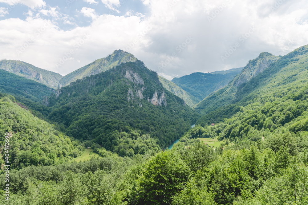 View at a peak and valley in Dormitor meuntains in summer