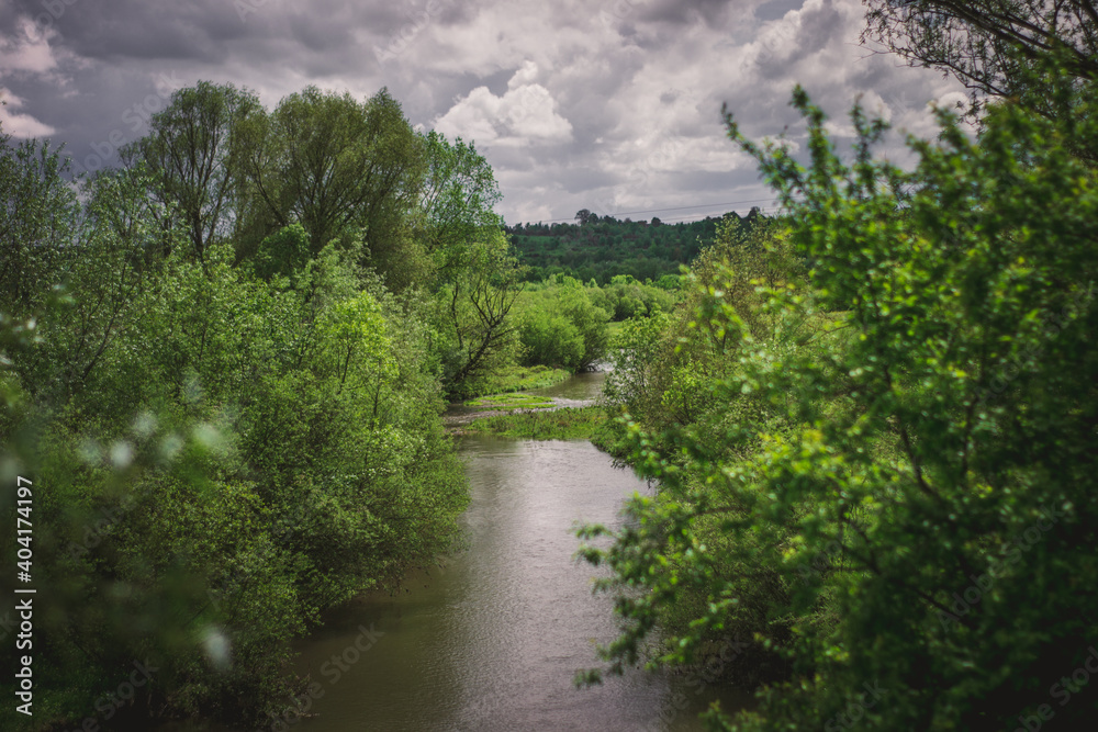 river in the forest