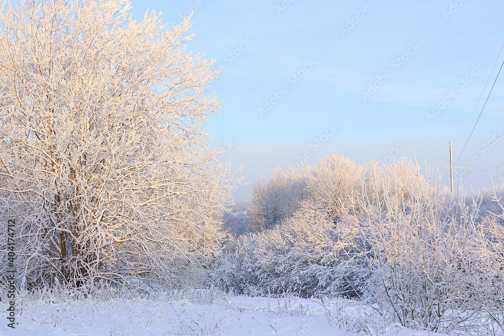 Russian nature in winter, Christmas background. After a snowfall, tree branches are covered with snow and sparkle in the sun, severe frost and low temperatures. This is a beautiful winter Russian nature in winter, Christmas background. After a snowfall, tree branches are covered with snow and sparkle in the sun, severe frost and low temperatures. This is a beautiful winter
