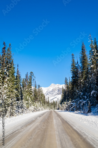 Scenic road in Yoho National Park, Canada