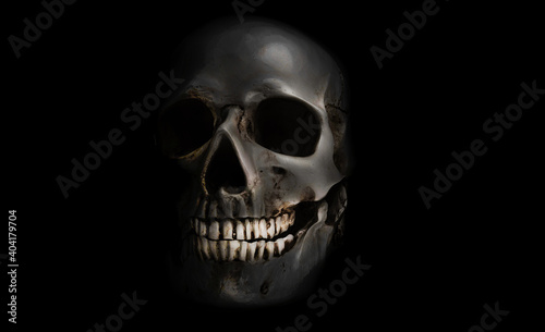 Smiling sinister human skull on a dark background.