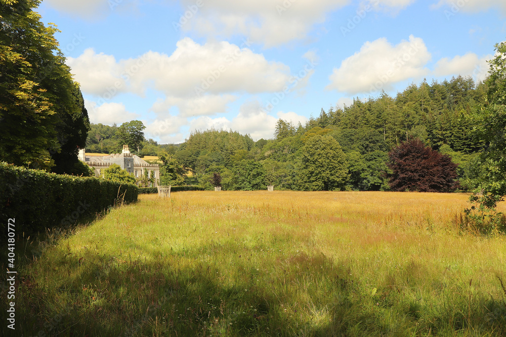 Fototapeta premium Golden wheat beneath the gaze of Restormel manor