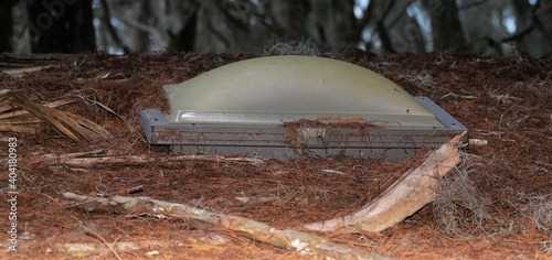 Foto dirty skylight covered with tree moss, leaves and branches