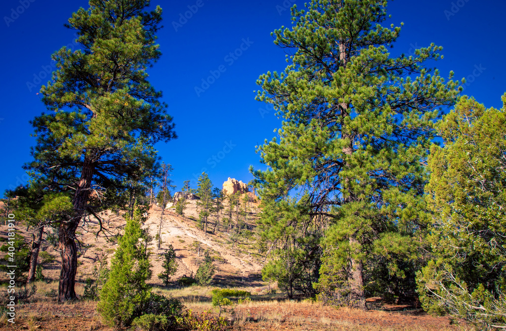 hoodoos of Bryce Canyon in Utah