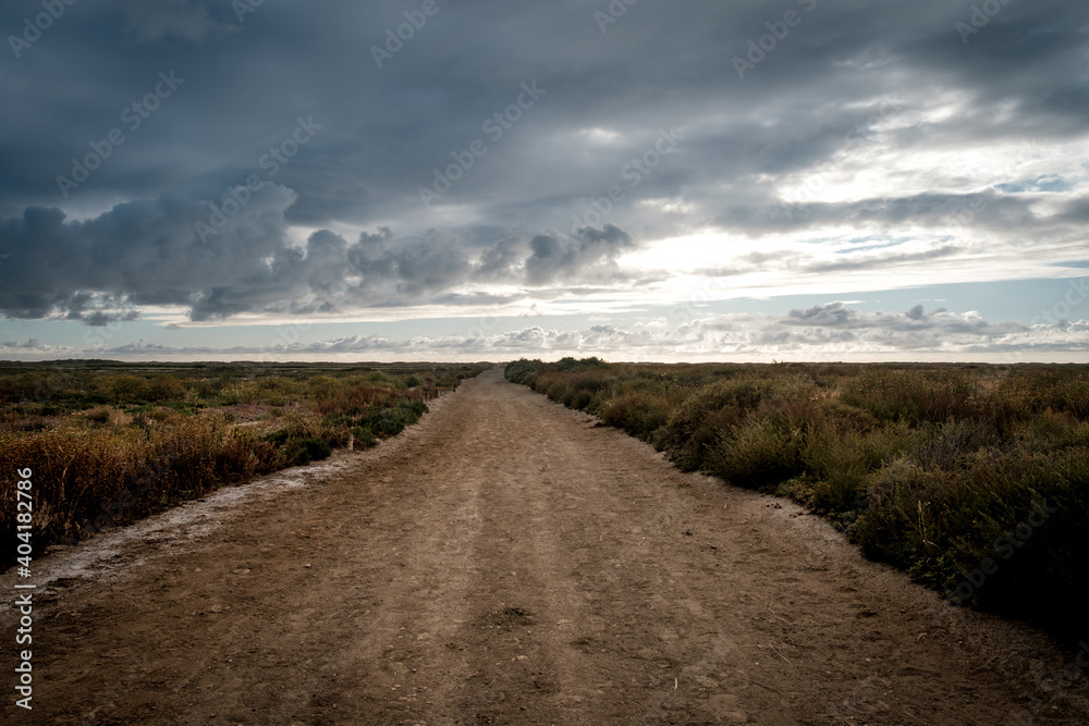 Desolate road close to the border of Mexico