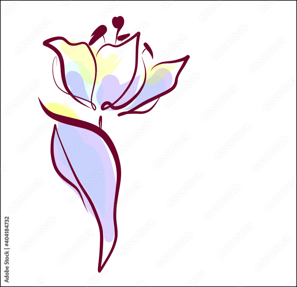 Fototapeta premium Drawing vector graphics with floral pattern for design. tulip