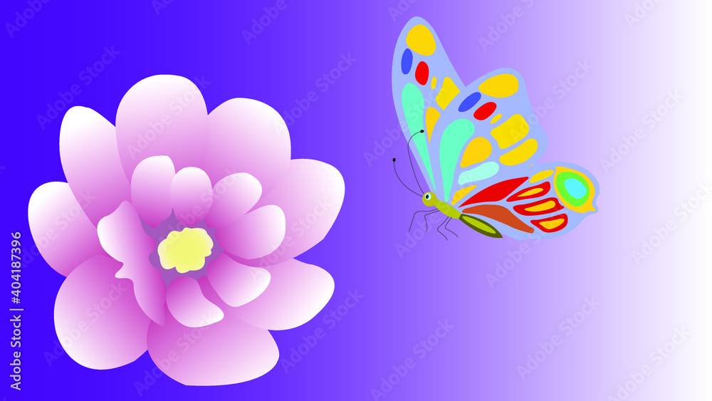 Soft color flower and butterfly isolated on background. Greeting card.