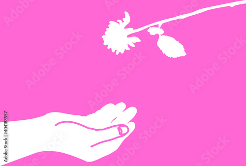 一輪の薔薇を受け取ろうとする手のイラスト【ピンク色の背景】