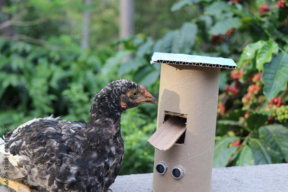 Best projects made from arduino called as automatic pet food dispenser