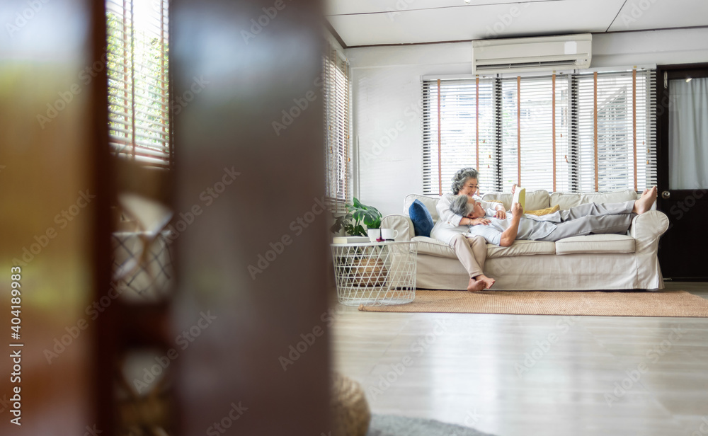 Relaxed Romantic Asian Senior Couple sitting on comfortable sofa at home together.