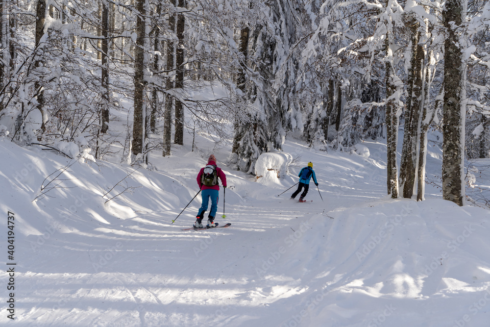 Winter im Schwarzwald am Herzogenhorn