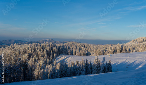 Winter im Schwarzwald am Herzogenhorn