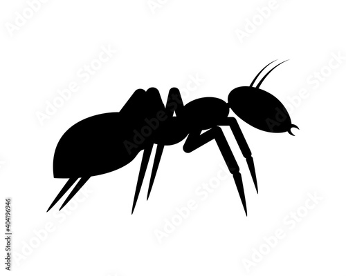 Black ant logo design. Vector illustration and icon. Silhouette on white background. Side view. 