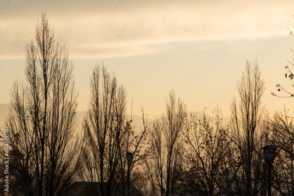 Obraz premium sunset over the field