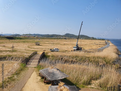 대한민국 충청남도 서천군 신성리 갈대밭