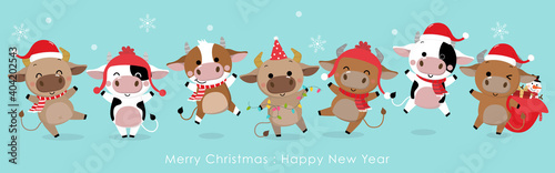 Merry Christmas and happy new year 2021. The year of the ox. The male cows and bulls wear red winter costume. Animal holidays cartoon character. -Vector