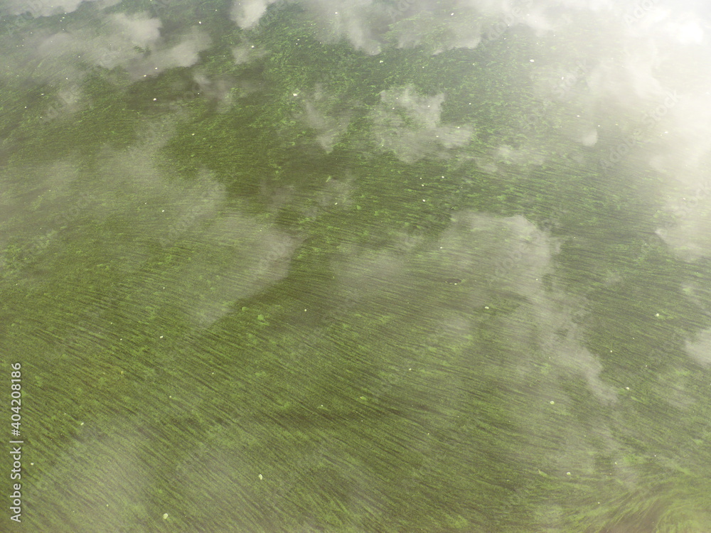 Algae and clouds in the Volga River. And there's a fog over the river Algae and clouds in the Volga River. And there's a fog over the river