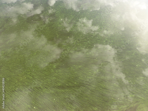 Algae and clouds in the Volga River. And there's a fog over the river
