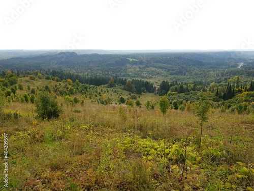 Green Siberian boreal forest extends to the horizon