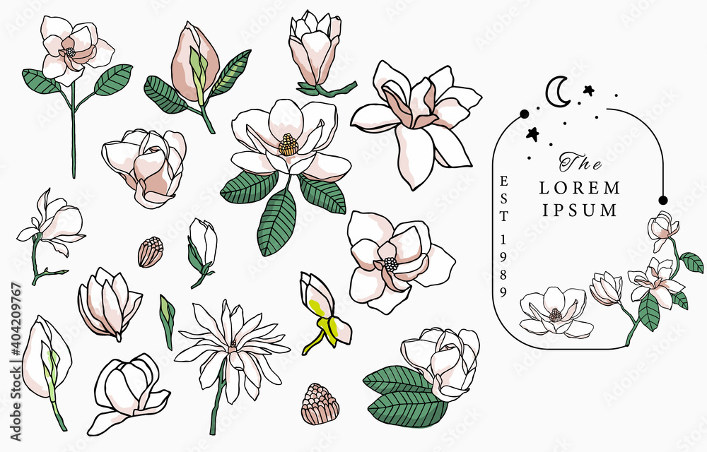 Line flower collection with magnolia.Vector illustration for icon,sticker,printable and tattoo Line flower collection with magnolia.Vector illustration for icon,sticker,printable and tattoo