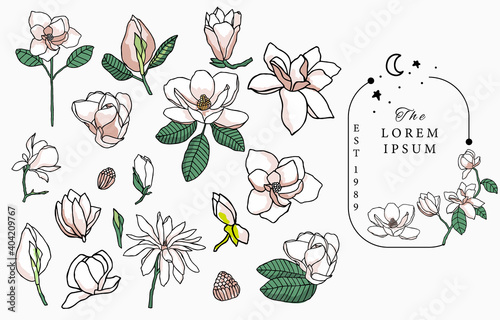 Line flower collection with magnolia.Vector illustration for icon,sticker,printable and tattoo