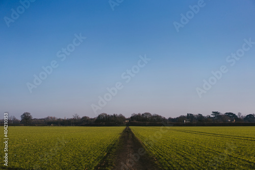 Empty green field with the trail in the middle located in west London photo
