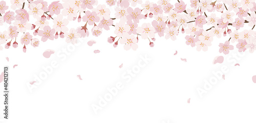 テキストスペース付きシームレスな桜の背景