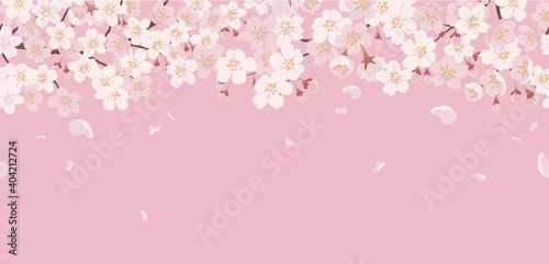 テキストスペース付きシームレスな桜の背景