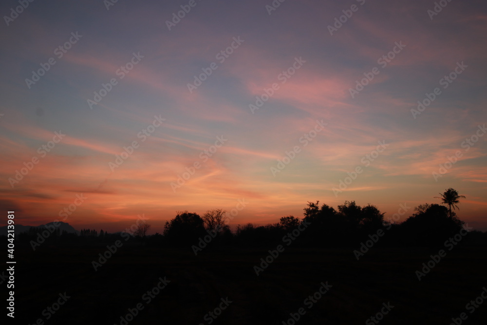 Fototapeta premium Beautiful light , silhouette and blue sky in the morning