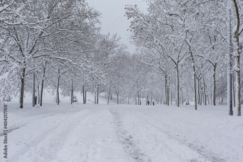 Parks and gardens covered in snow after the storm Filomena passed through the capital. Extreme cold. Nevada in Madrid. Filomena storm. Parks and gardens covered in snow after the storm Filomena passed through the capital. Extreme cold. Nevada in Madrid. Filomena storm.