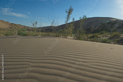 Almaty, Kazakhstan - 06.25.2013 : Relief of a sand dune in the Altyn Emel Nature Reserve