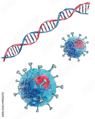 Coronavirus and DNA