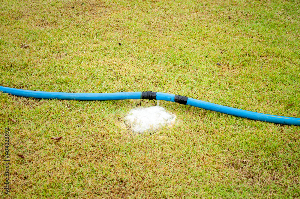 The hose broke, water poured out onto the lawn.